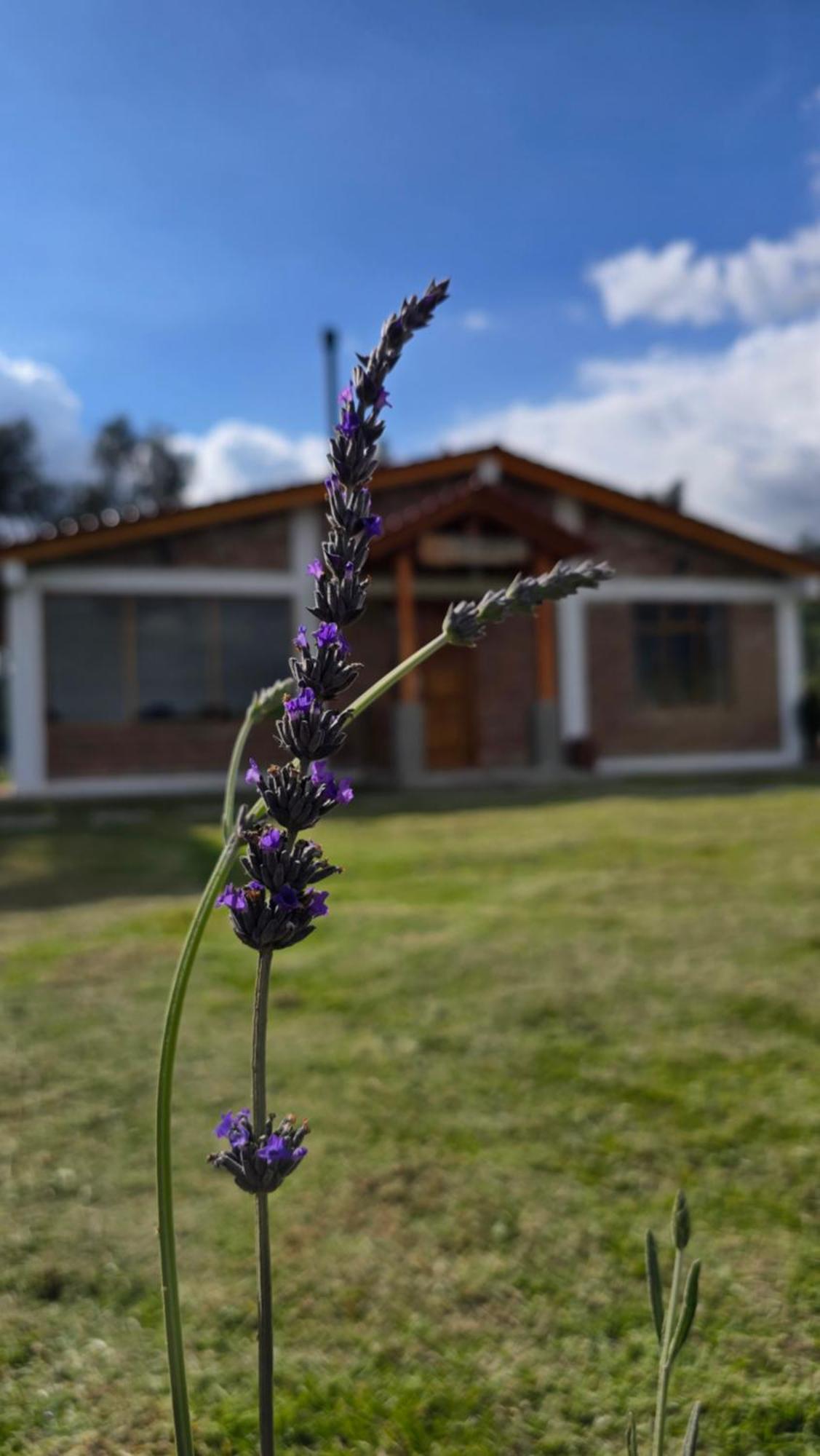 Cuscungo Cotopaxi Hostel & Lodge Chasqui 外观 照片